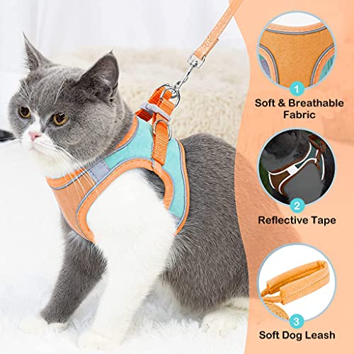 Qpets® Cat Harness & Leash Combo, Adjustable Breathable Vest with Safety Reflective Strip, 1.5m Leash, for Small Cat & Dog, Outdoor Walk, Travel, Training, Orange & Blue, M Size Qpets® Cat Harness & Leash Combo, Adjustable Breathable Vest with Safety Reflective Strip, 1.5m Leash, for Small Cat & Dog, Outdoor Walk, Travel, Training, Orange & Blue, M Size